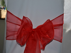 Organza Chair Sash